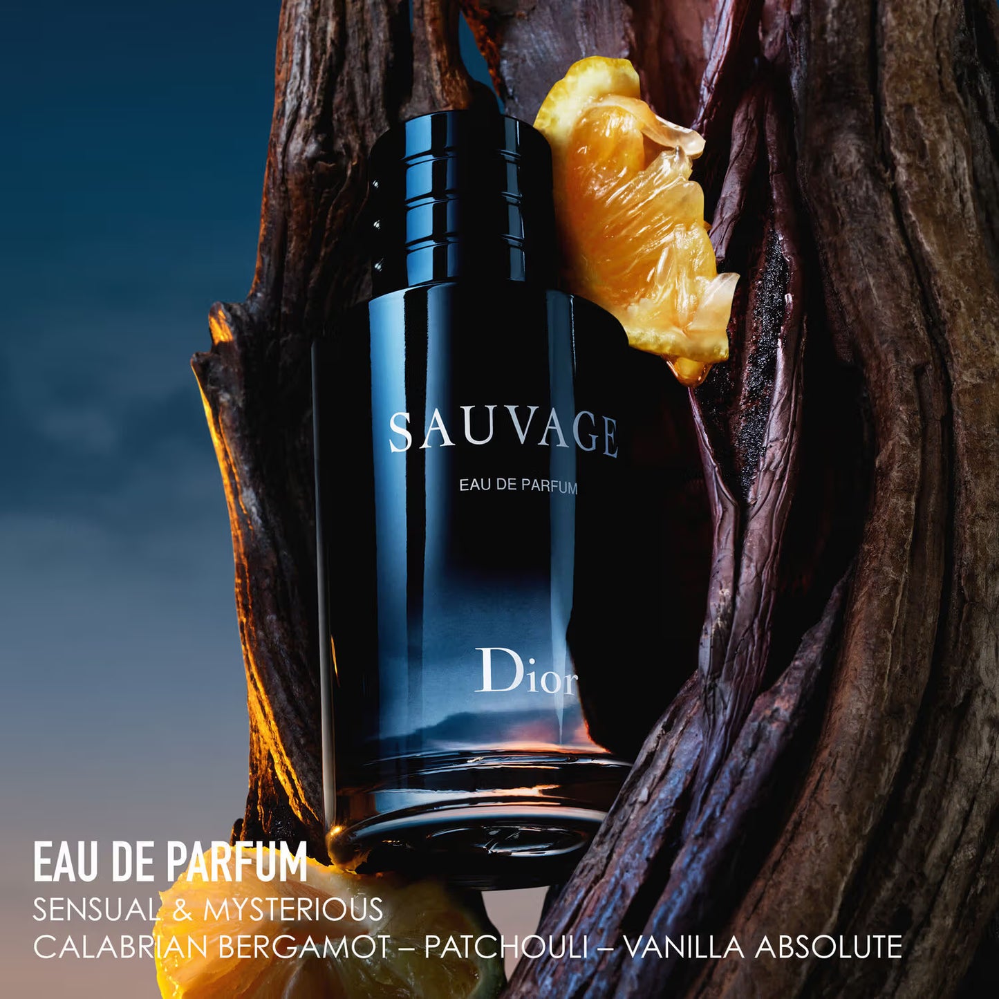 DIOR Sauvage EDP 100ml
