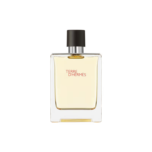 TERRE D’ HERMES EDT 100ml